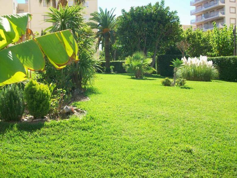 Con vistas al Mediterráneo Playa de Gandia Exterior foto